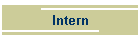 Intern